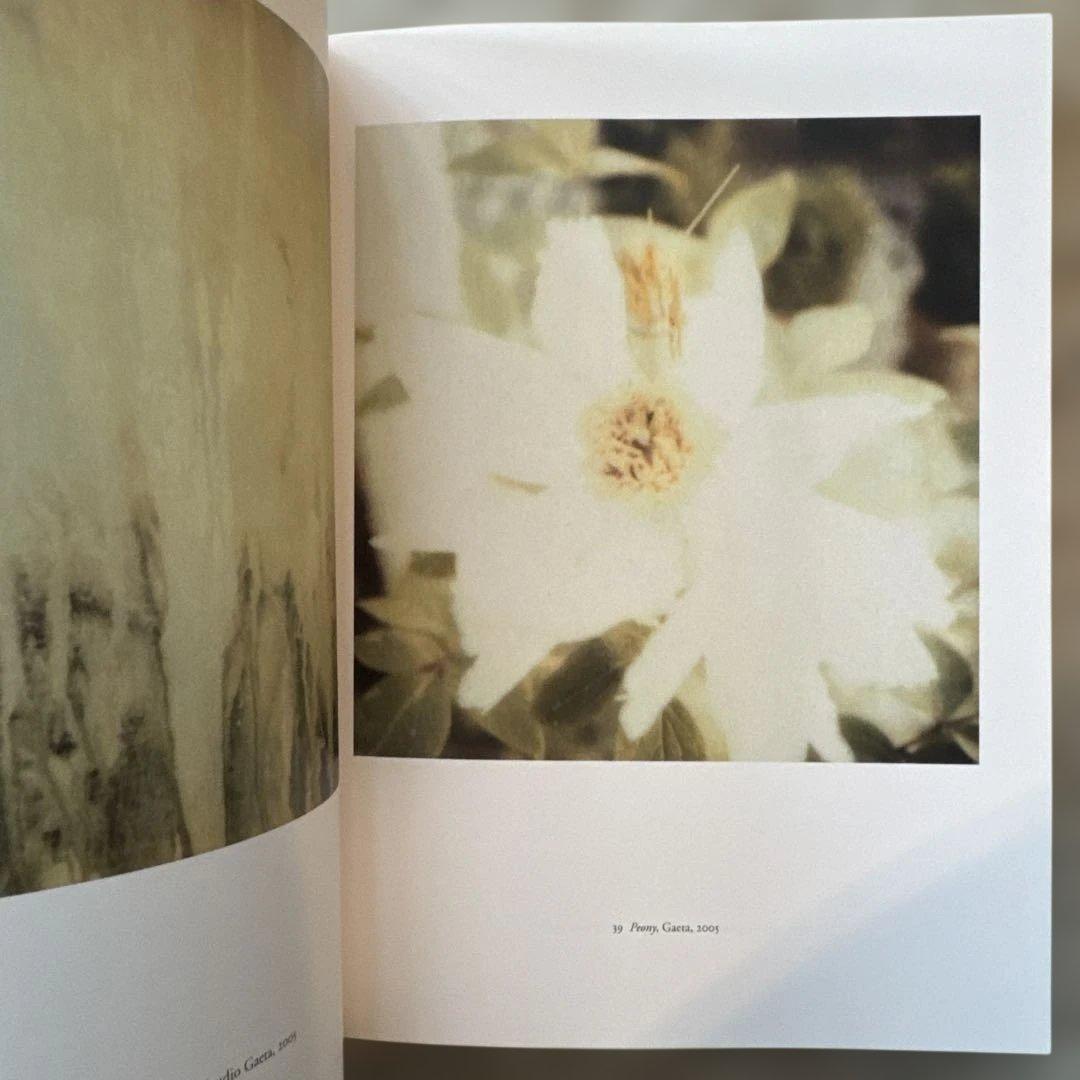 アート・デザイン・音楽 CY TWOMBLY PHOTOGRAPHS 1951-2007