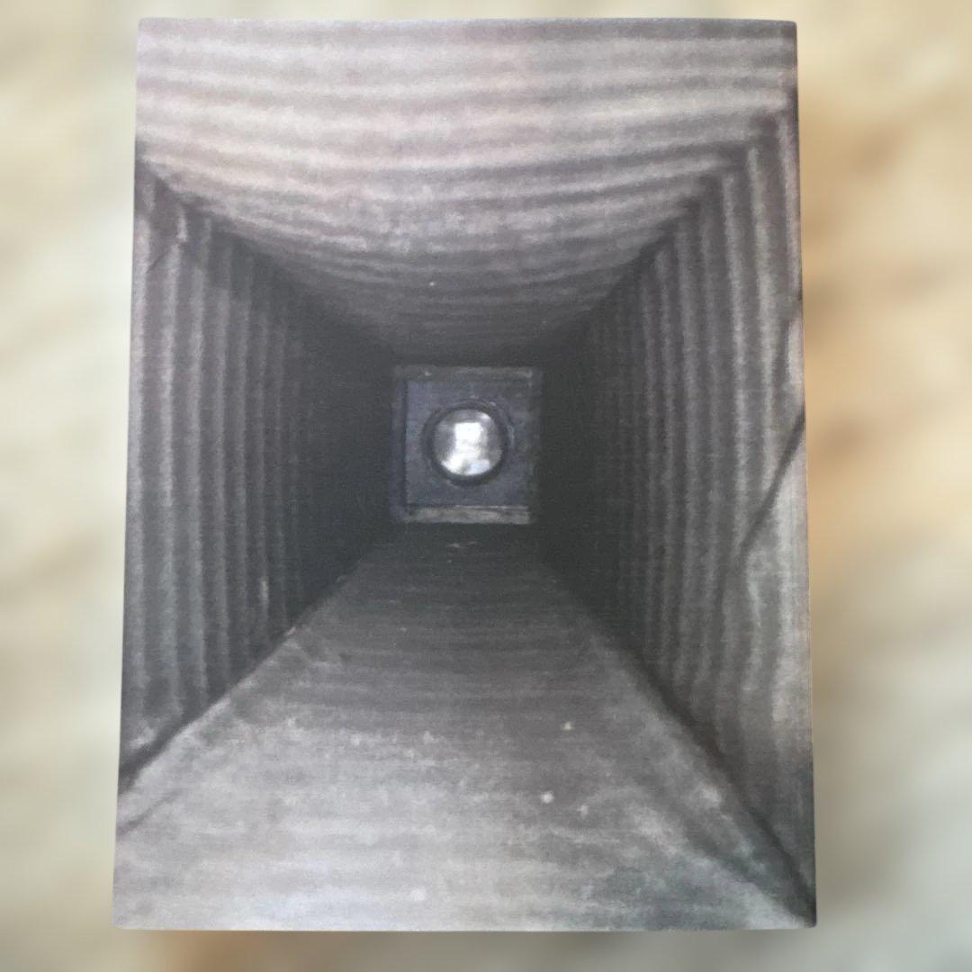 アート・デザイン・音楽 CY TWOMBLY PHOTOGRAPHS 1951-2007