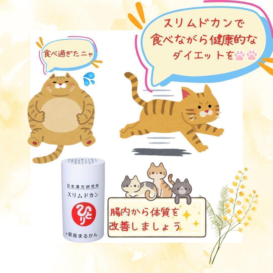 スリムドカン(大) 銀座まるかん 165g