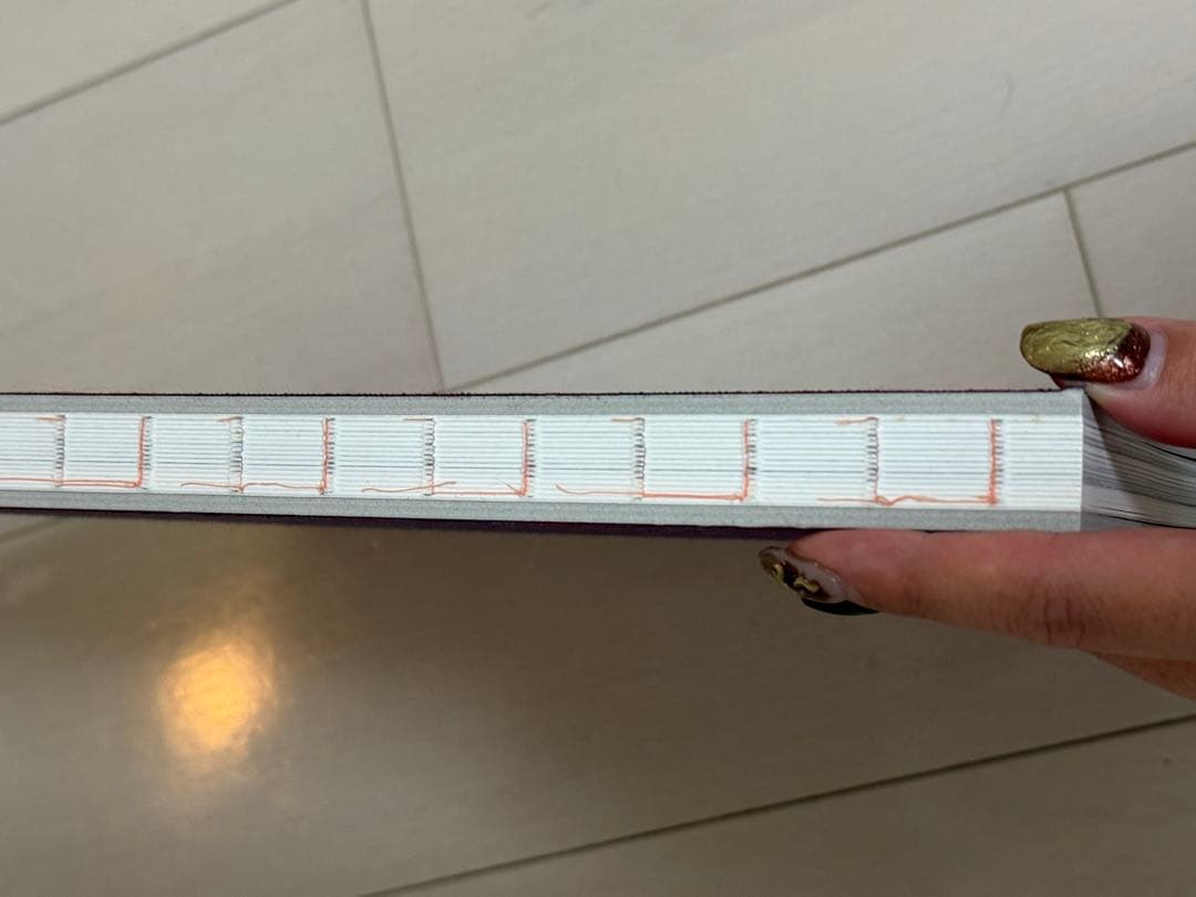 #FF0921 by PIEZOGLYPH アートブック ☆菅田将暉 小松菜奈