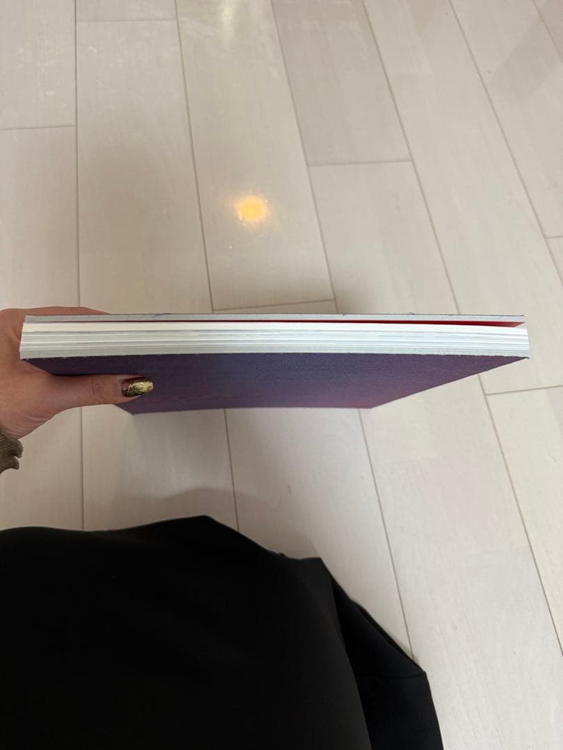 #FF0921 by PIEZOGLYPH アートブック ☆菅田将暉 小松菜奈