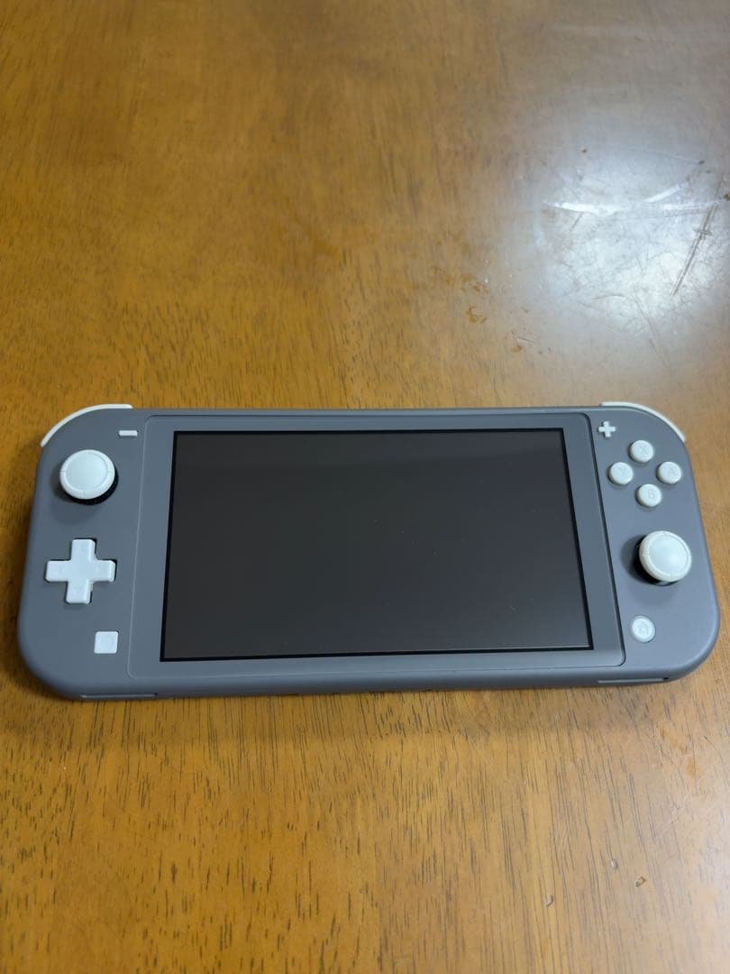 Nintendo Switch Lite グレー 本体 （ケース、充電器付属）