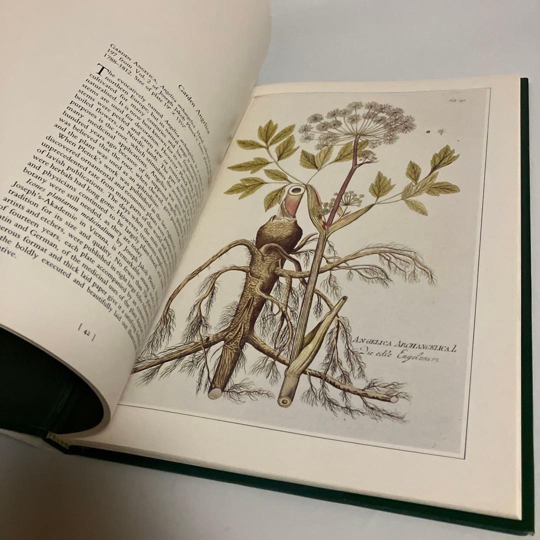 洋書　植物画　PLANTS