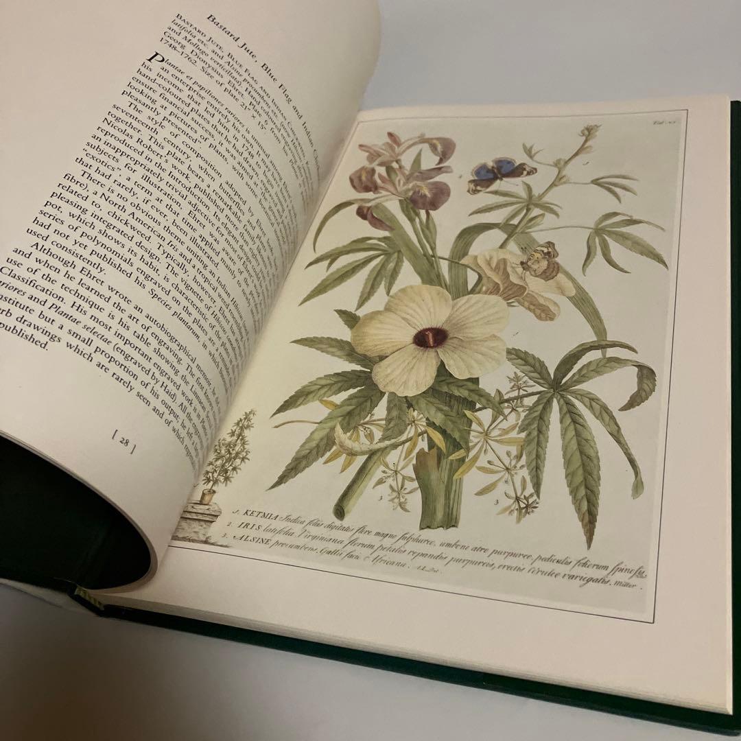 洋書　植物画　PLANTS