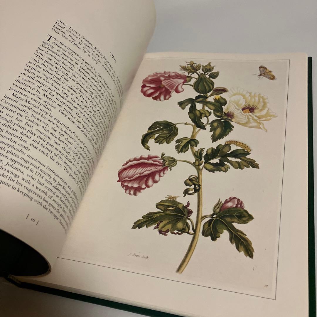 洋書　植物画　PLANTS