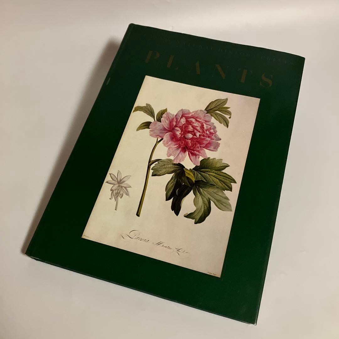 洋書　植物画　PLANTS