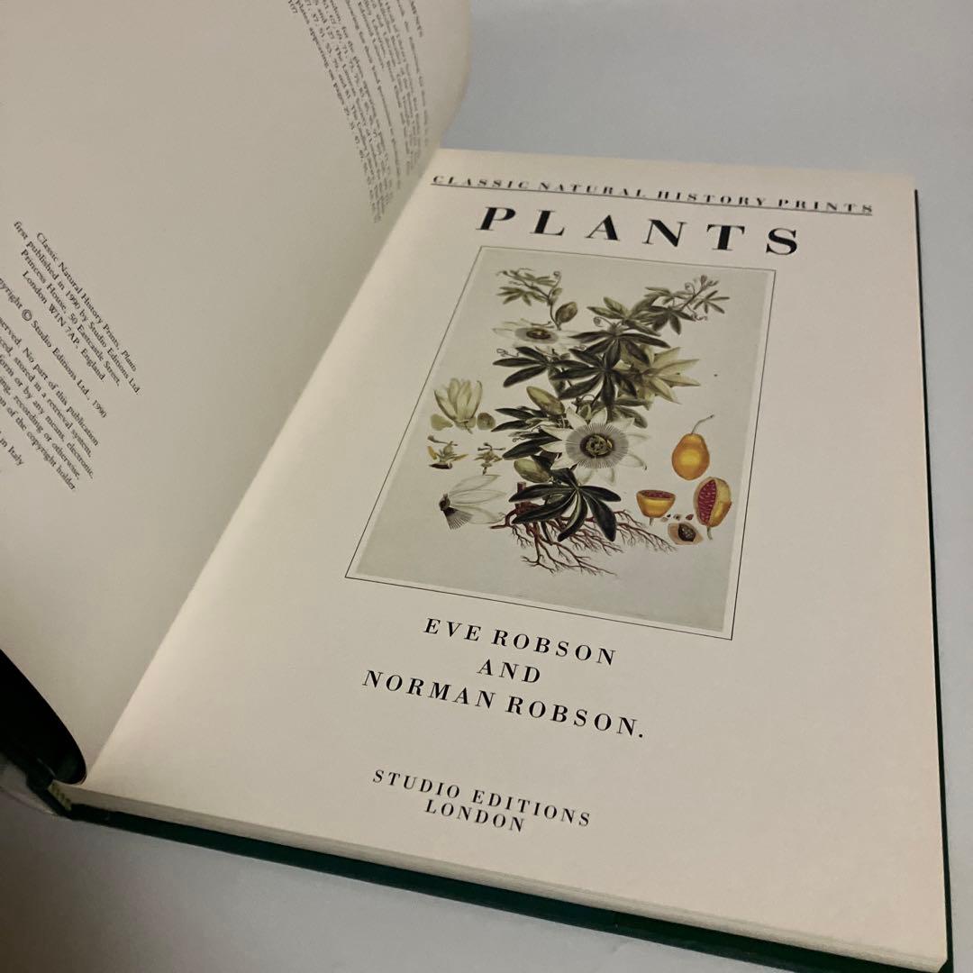 洋書　植物画　PLANTS