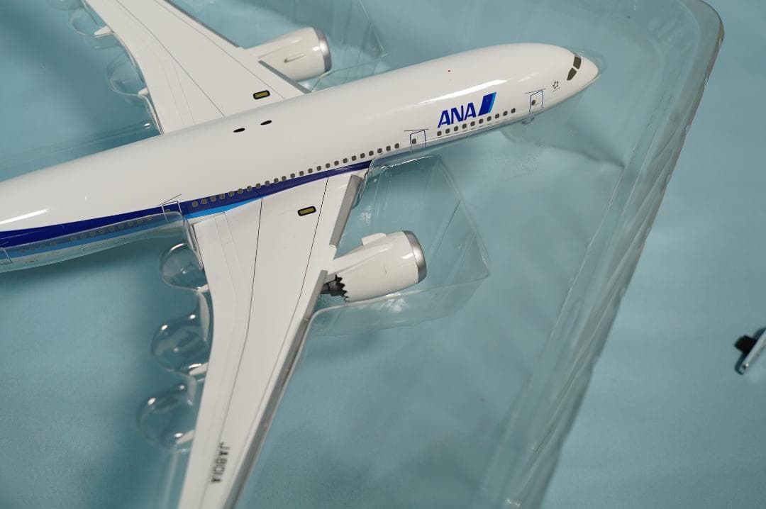 全日空 BOEING 787-8 JA801A ドリームライナー