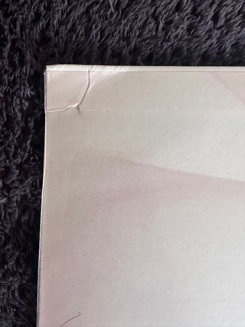 椎名林檎　サタデーナイトゴシップ　アナログ盤