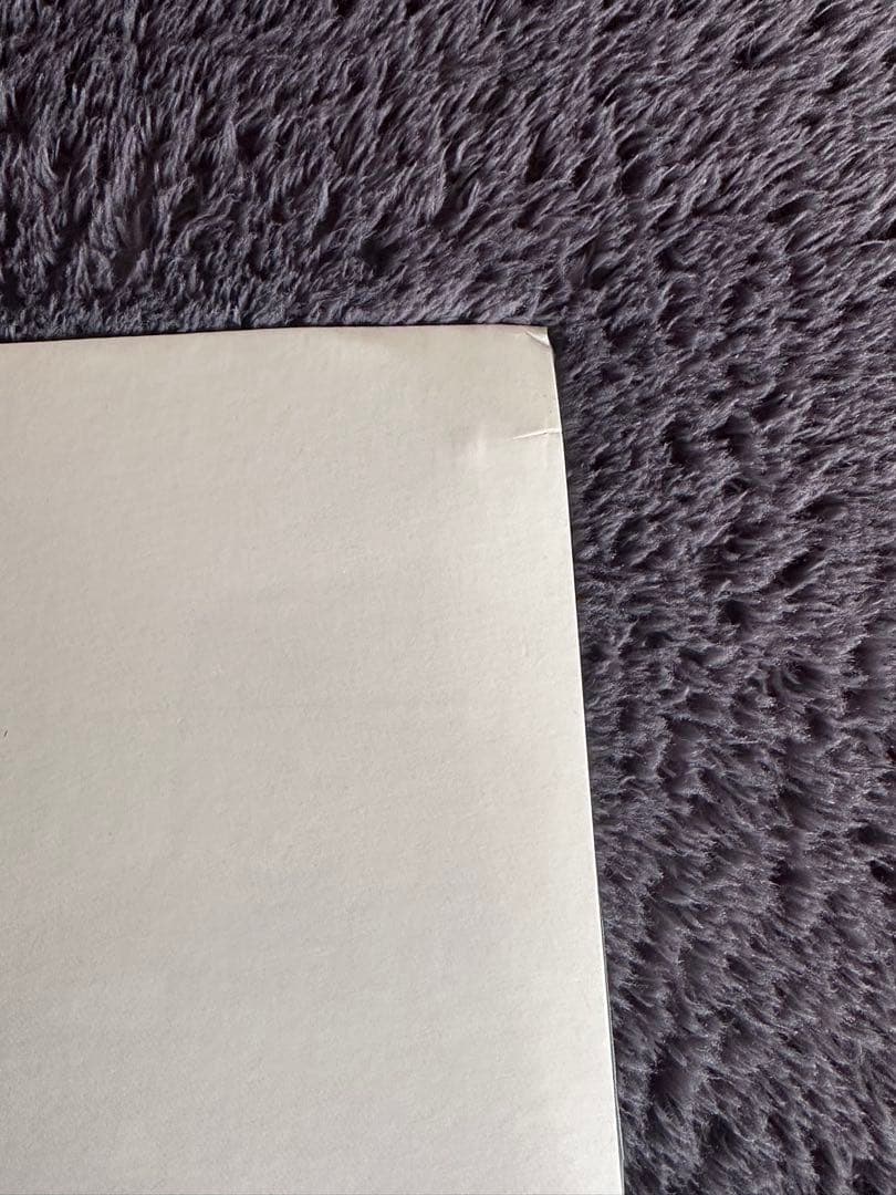 椎名林檎　サタデーナイトゴシップ　アナログ盤