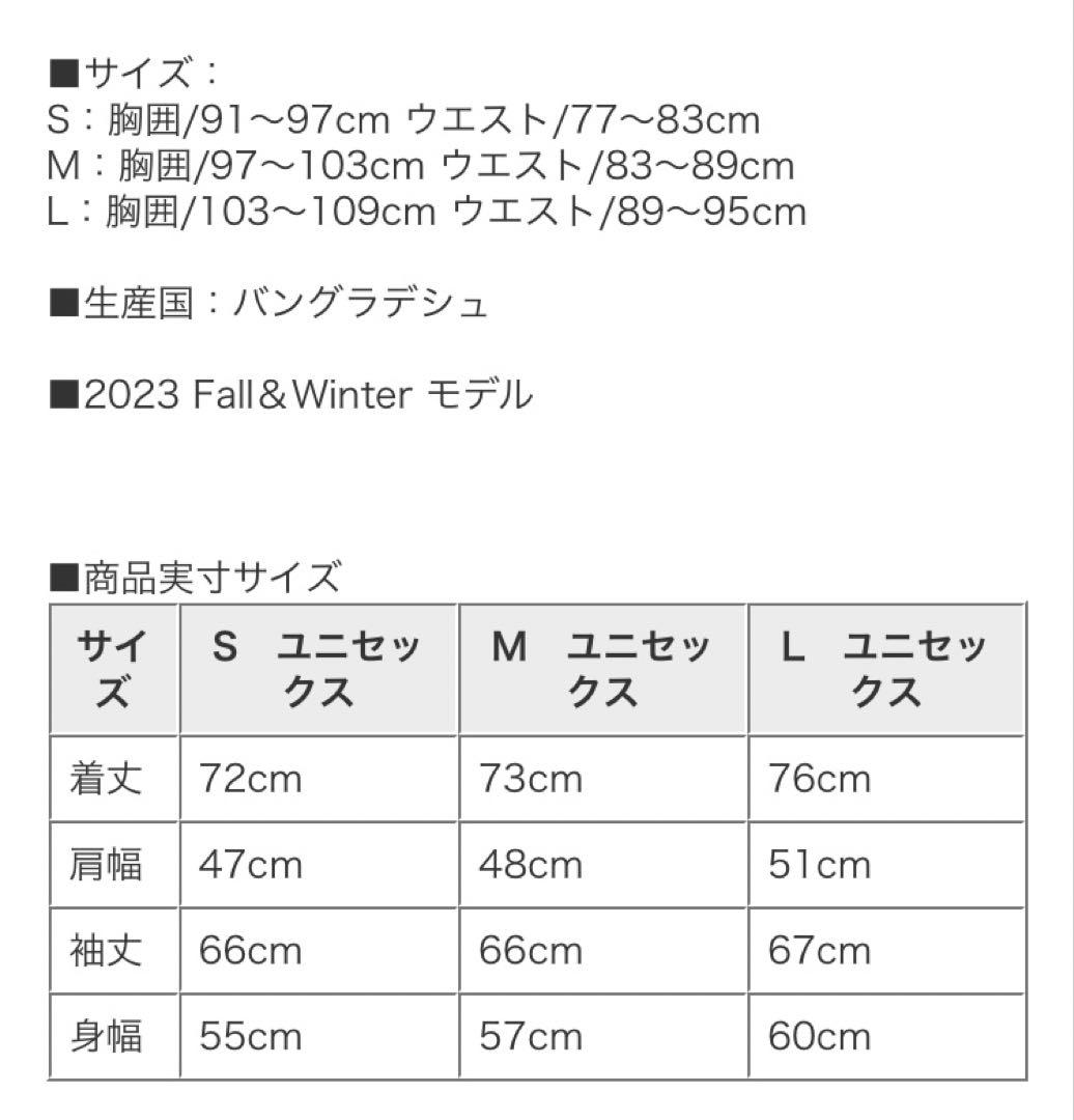 サロモン スキー ジャケット ハイランドSALOMON ブラック　黒　Lサイズ