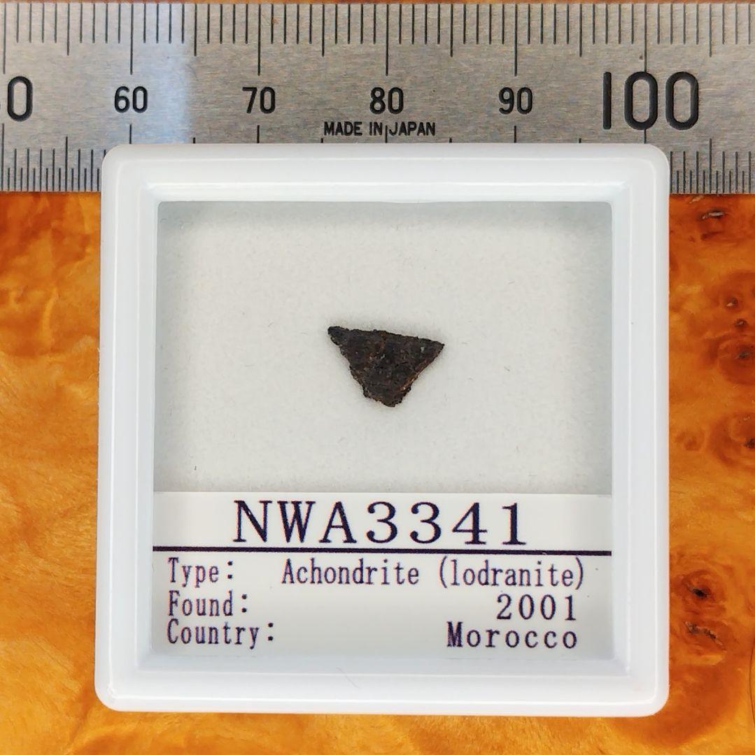 超絶希少！！ロードラナイト✨NWA3341　隕石標本