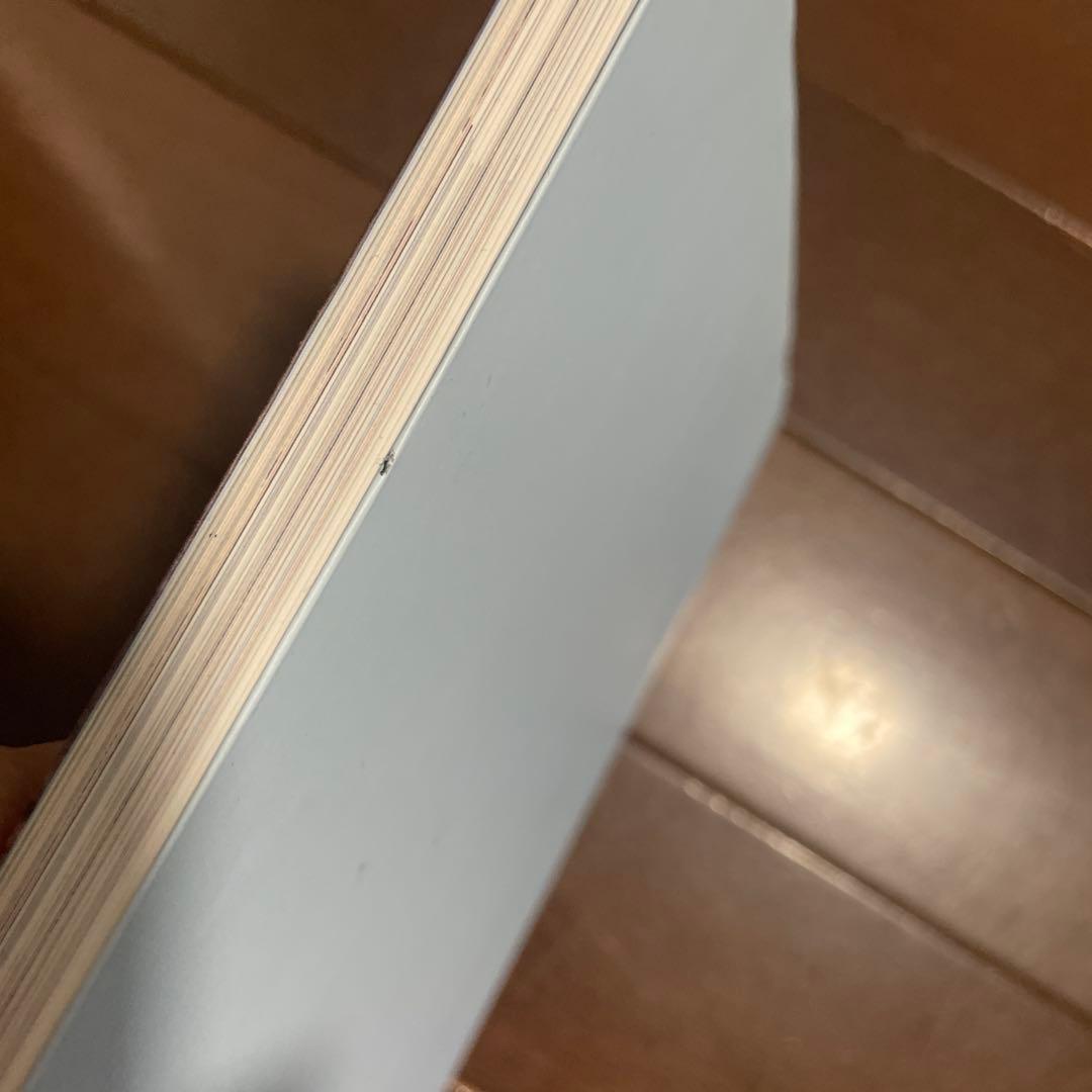 アート・デザイン・音楽 Ryan McGinley Moonmilk