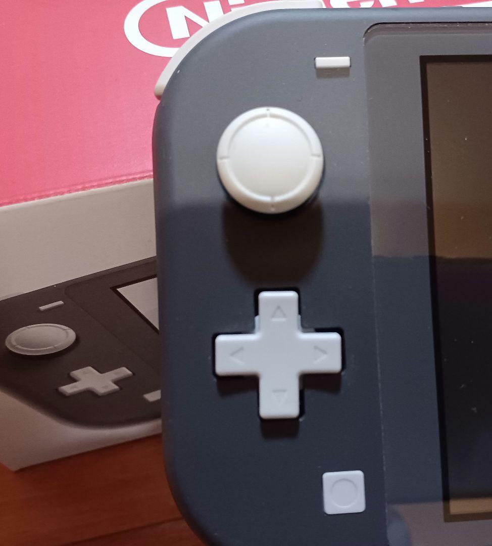 Nintendo Switch Lite グレー　 専用ケース付き