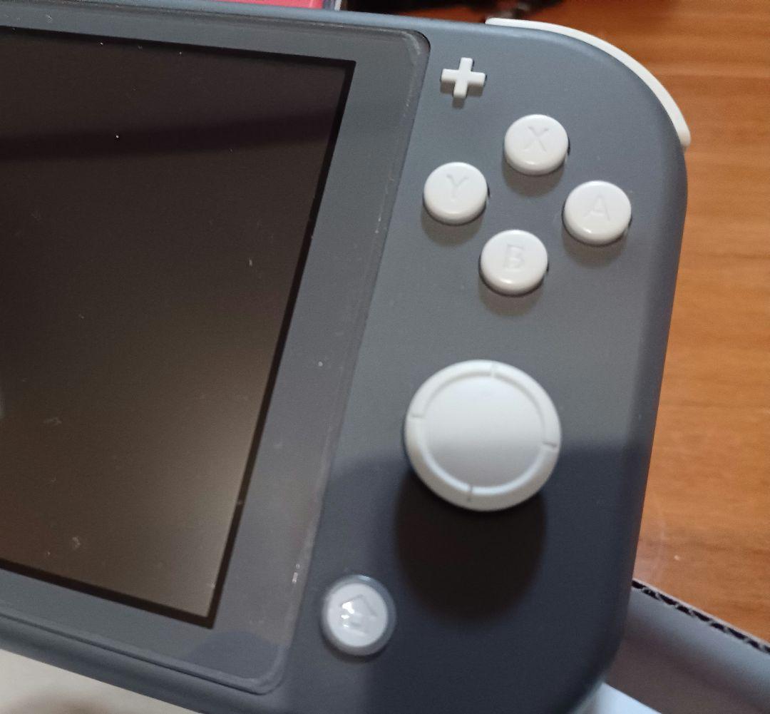 Nintendo Switch Lite グレー　 専用ケース付き