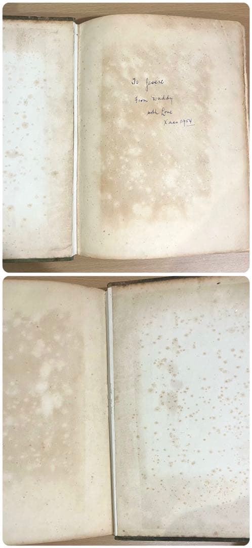 No.287希少 古書 アンティーク 洋書 アーサー·ラッカム ピーター・パン