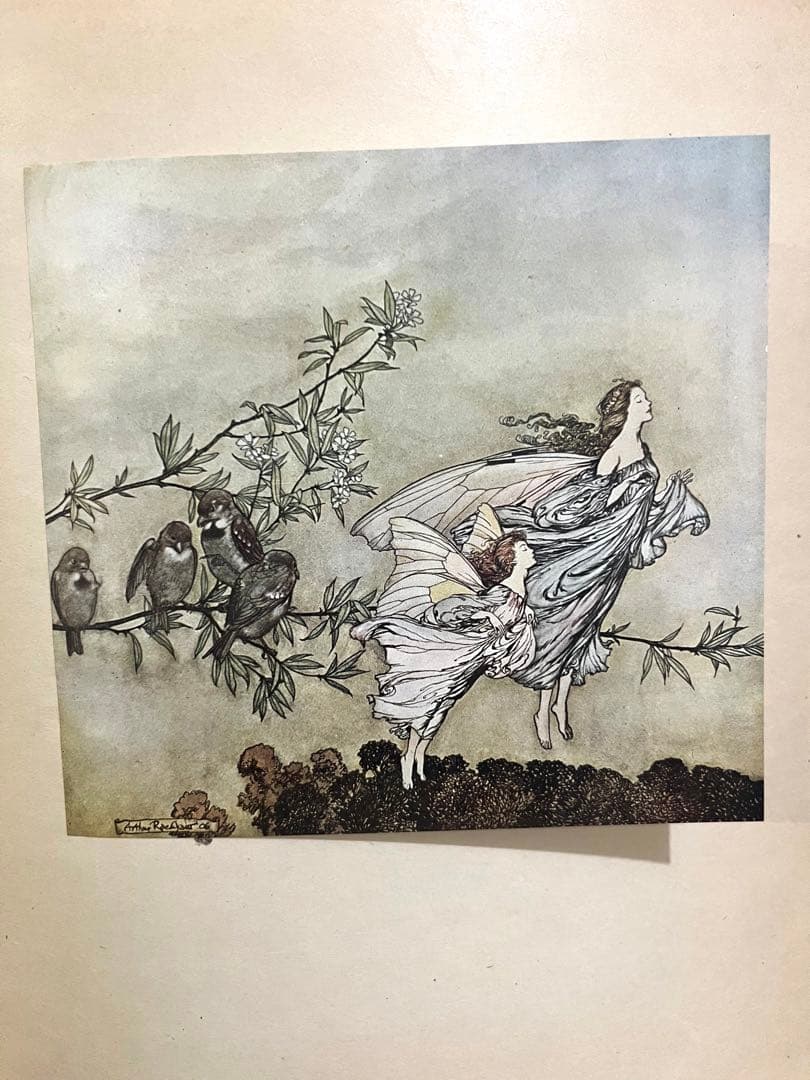 No.287希少 古書 アンティーク 洋書 アーサー·ラッカム ピーター・パン