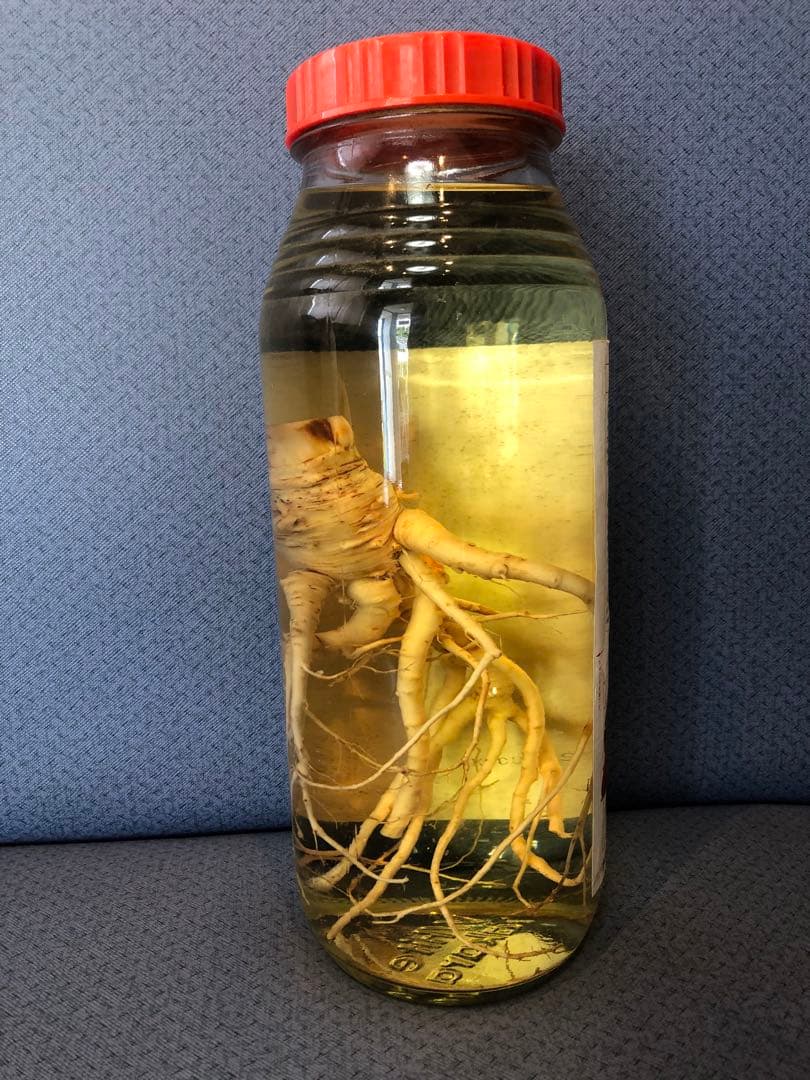 40年物 高麗人参酒 古酒 1.8リットル