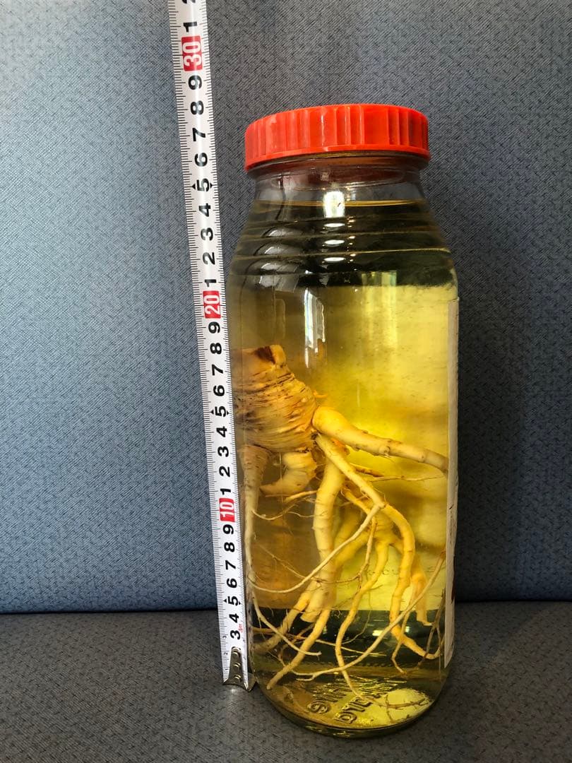 40年物 高麗人参酒 古酒 1.8リットル