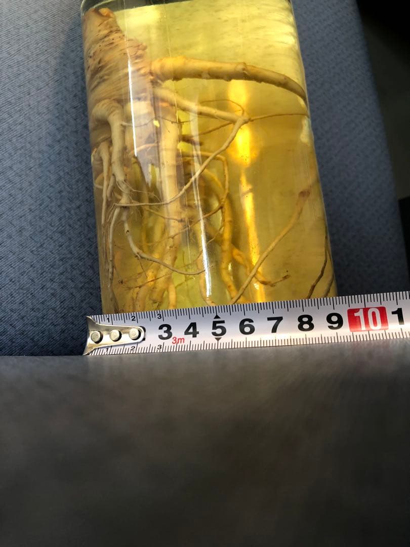 40年物 高麗人参酒 古酒 1.8リットル