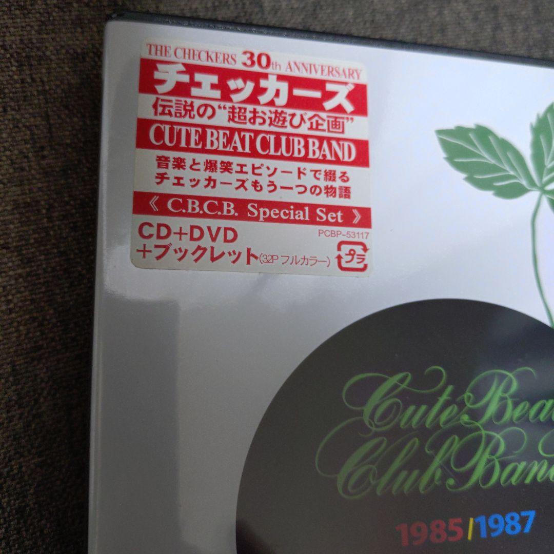 CUTE BEAT CLUB BAND DVD初回限定 チェッカーズ 藤井フミヤ