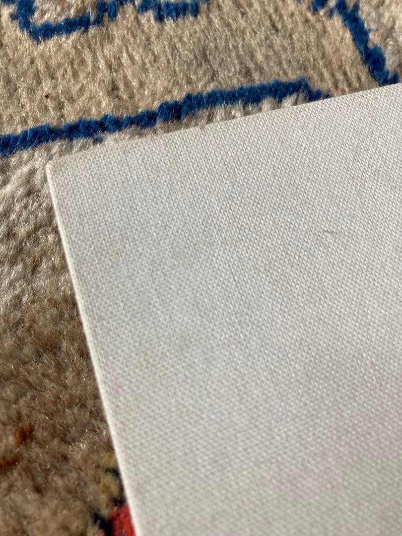 【坂本龍一の言葉】中谷美紀 写真集『NAKATANI』帯付き｜田島一成 撮影