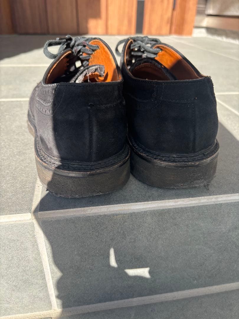 オールデン　ウィングチップ　ブラックスエード