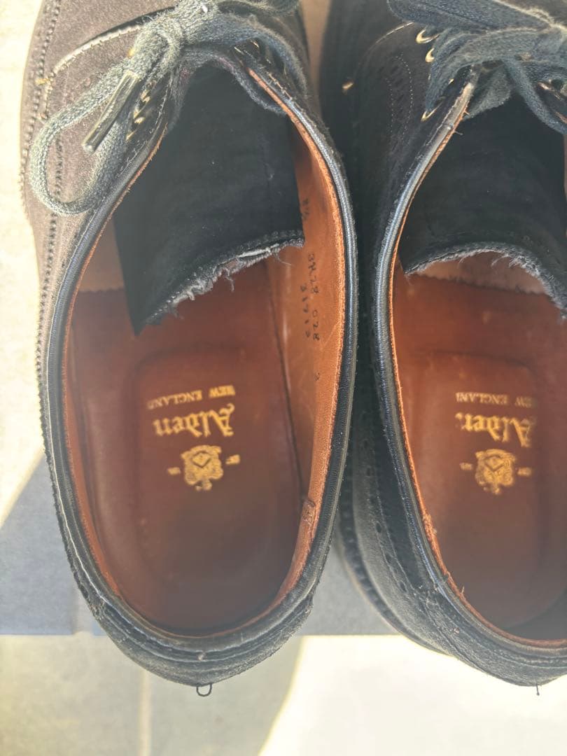 オールデン　ウィングチップ　ブラックスエード