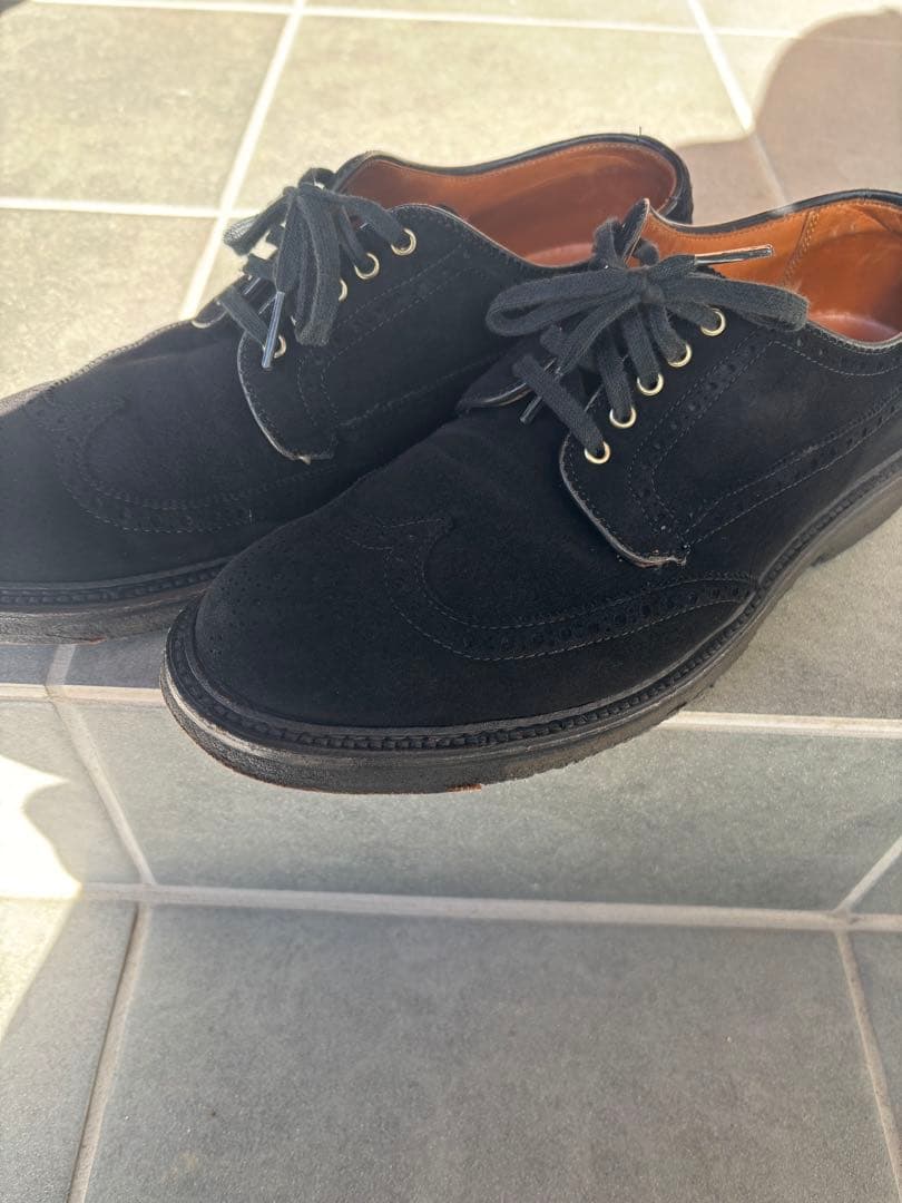 オールデン　ウィングチップ　ブラックスエード