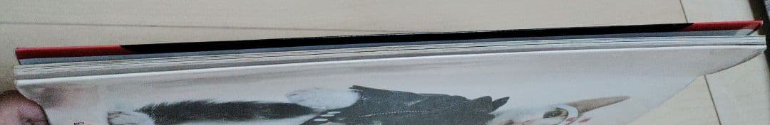 なめんなよ 大写真館 なめねこ なめ猫