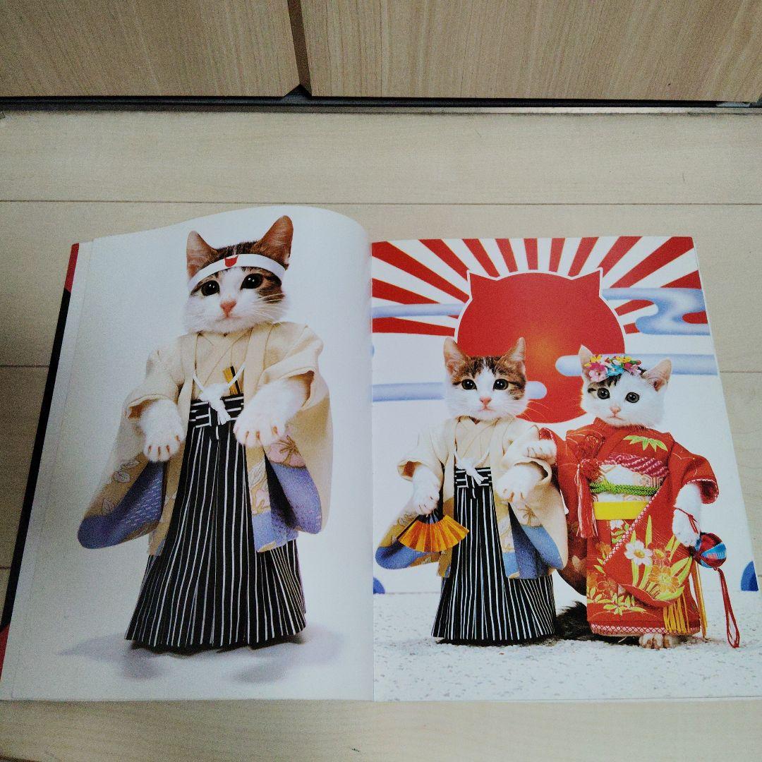 なめんなよ 大写真館 なめねこ なめ猫