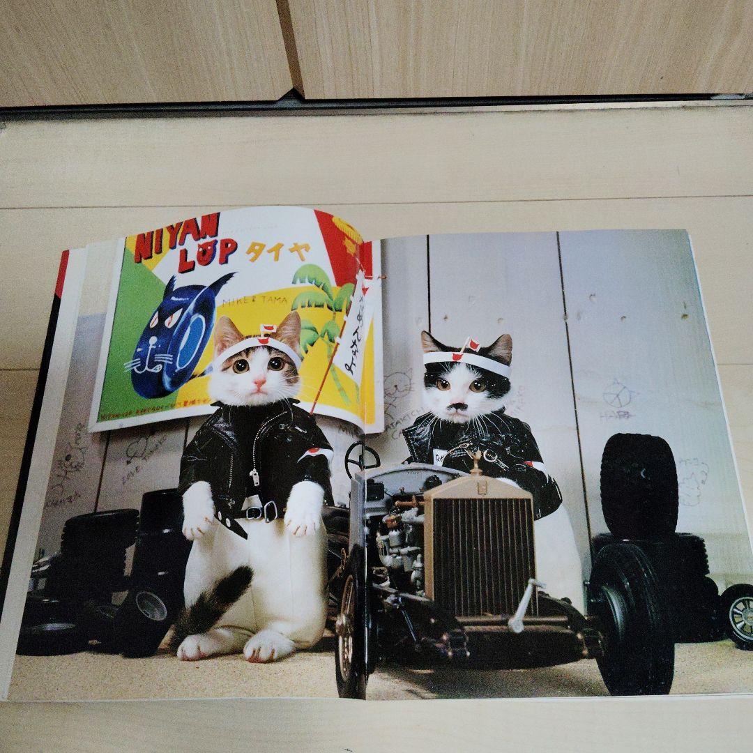 なめんなよ 大写真館 なめねこ なめ猫