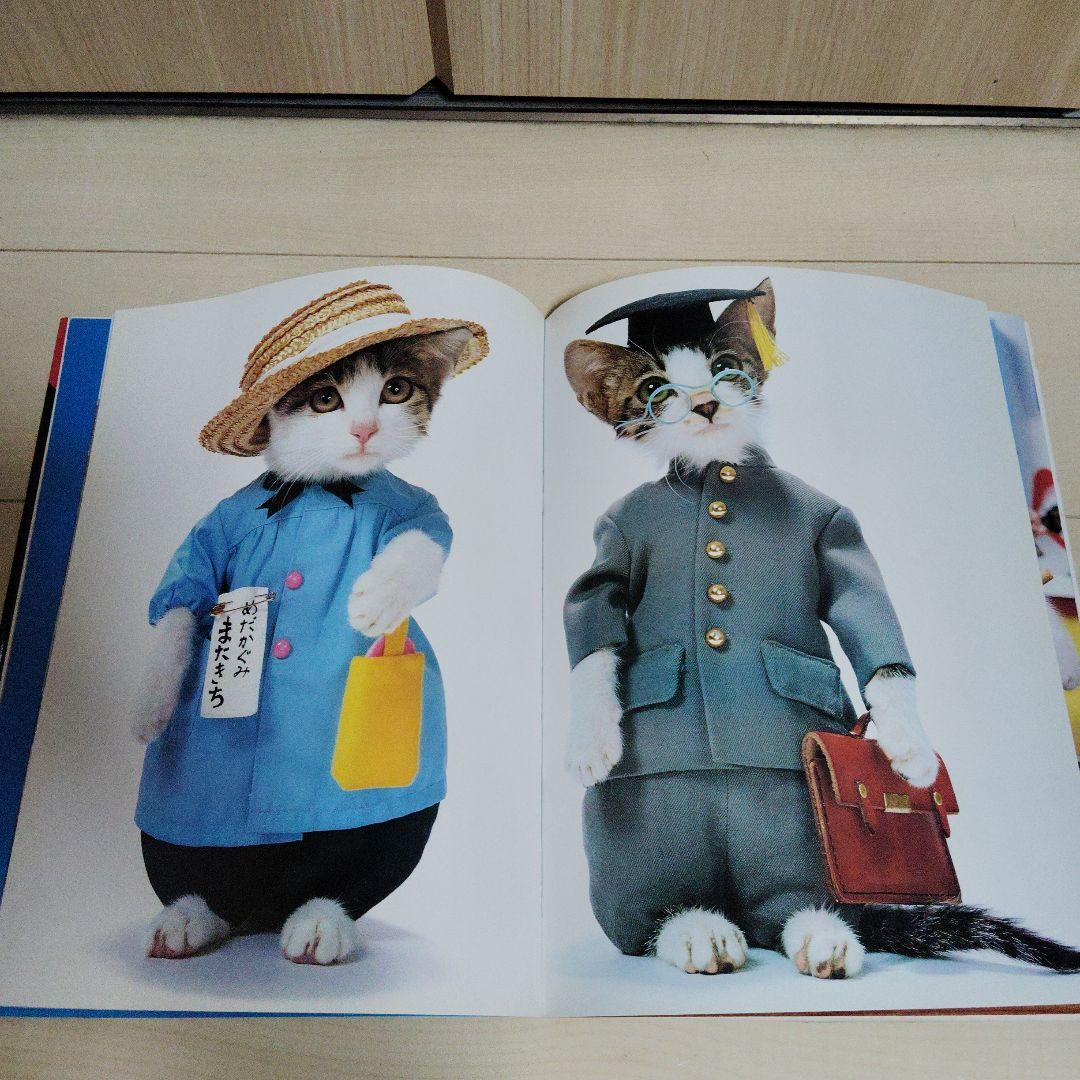 なめんなよ 大写真館 なめねこ なめ猫