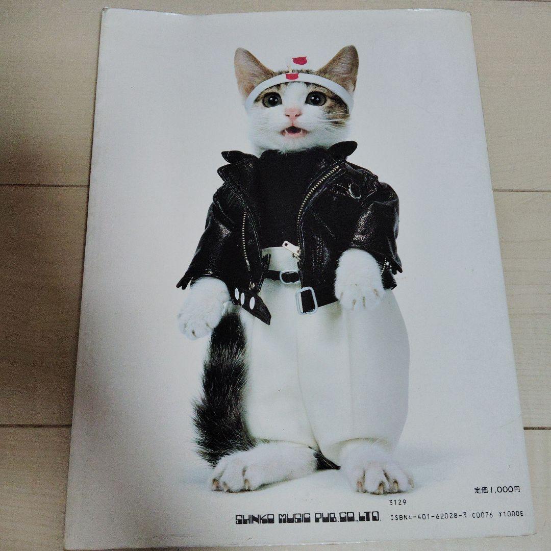 なめんなよ 大写真館 なめねこ なめ猫