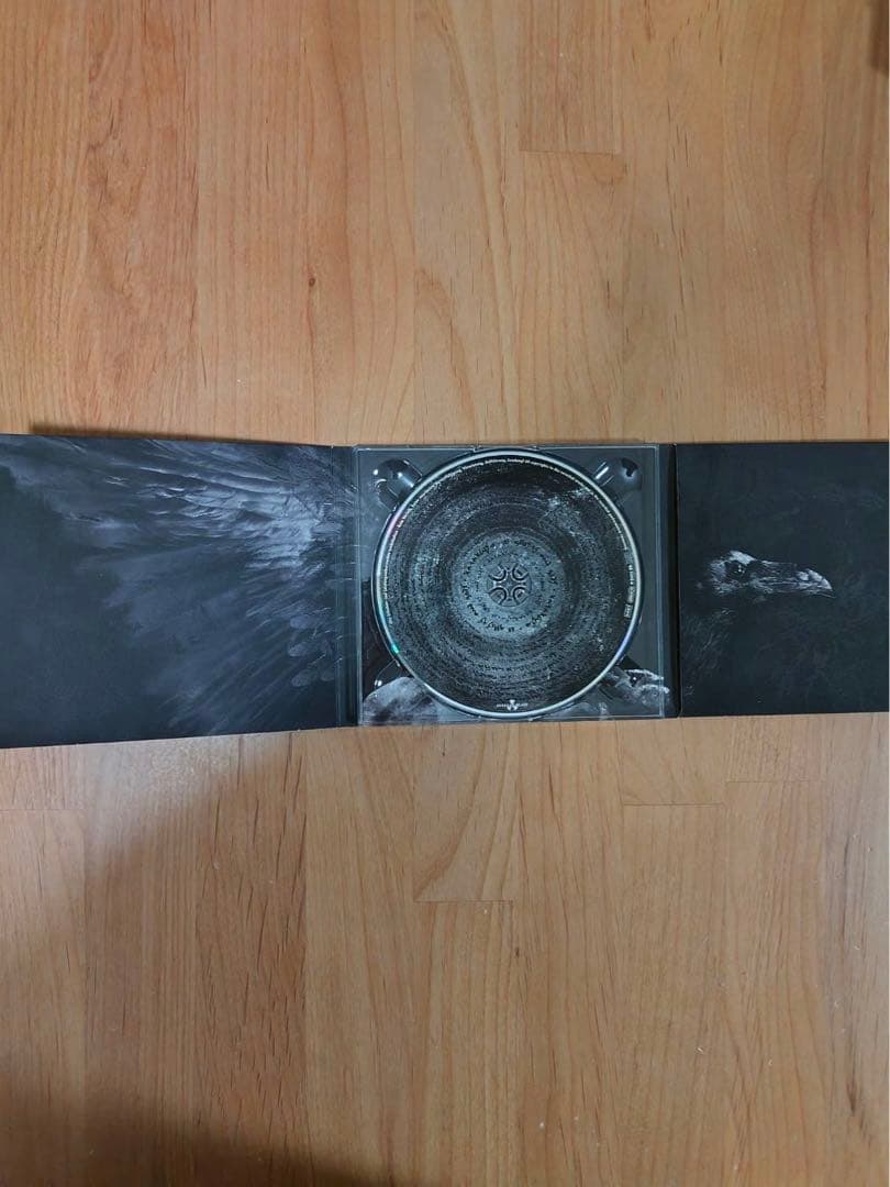 カタクリズム　7枚セット