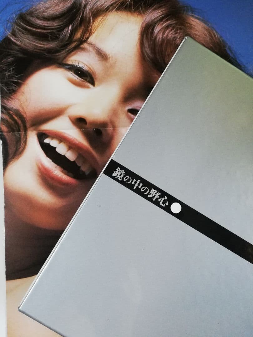 限定版/鏡の中の野心 DVD ひし美ゆり子　☆大判ポスターおまけ付き