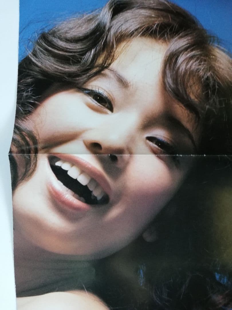 限定版/鏡の中の野心 DVD ひし美ゆり子　☆大判ポスターおまけ付き