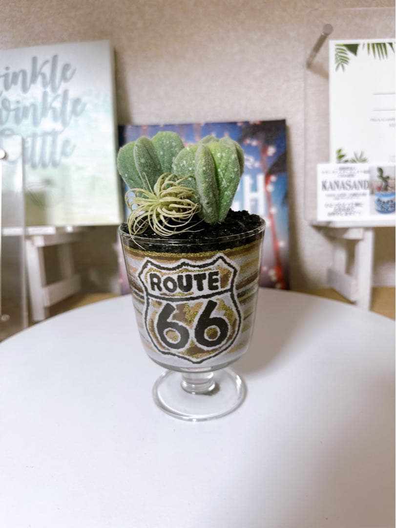 サボテン鉢セット アメリカ国旗・ルート66 カラーサンドアート