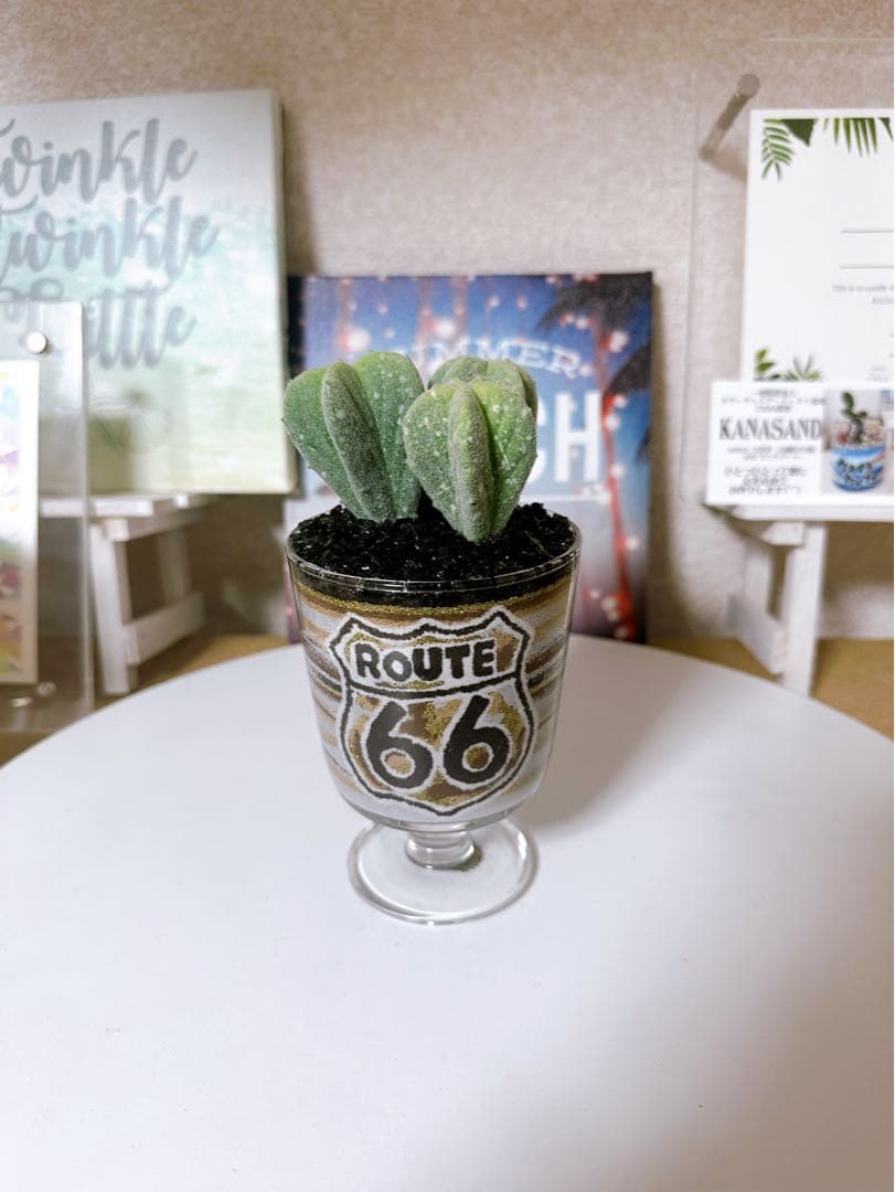 サボテン鉢セット アメリカ国旗・ルート66 カラーサンドアート
