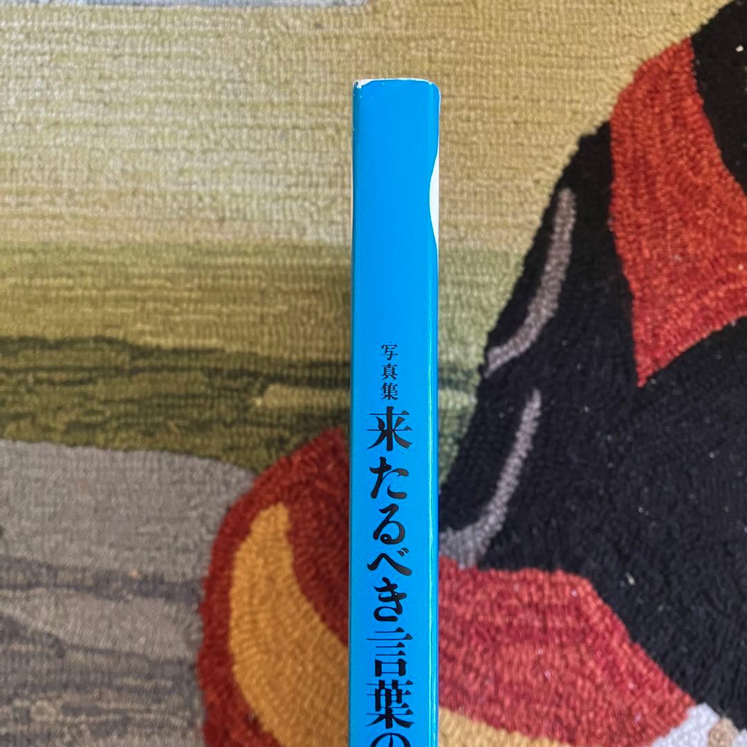 中平卓馬 「来たるべき言葉のために」 Japanese Box版