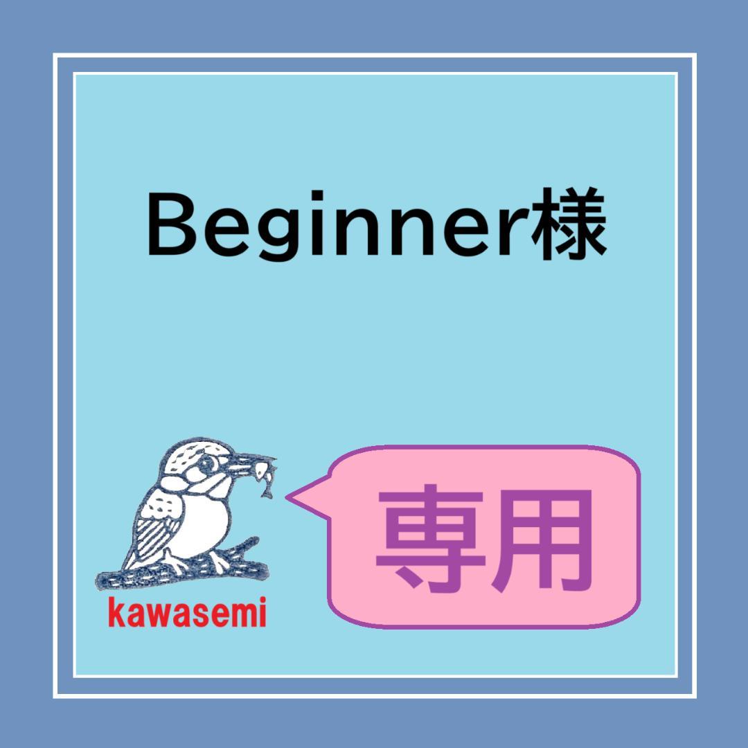 【Beginner】理科の基本事項/サーパス 国語3点セット 暗記カード