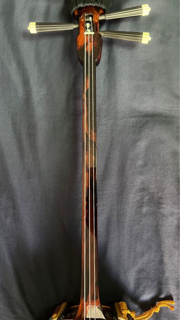 三線 八重山黒木 ウジラミ