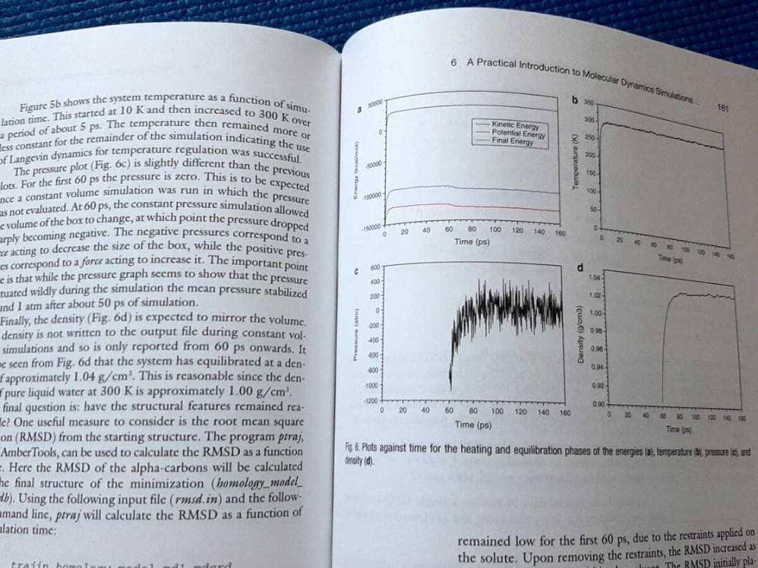 洋書 Homology Modeling: ホモロジーモデリング方法　プロトコル