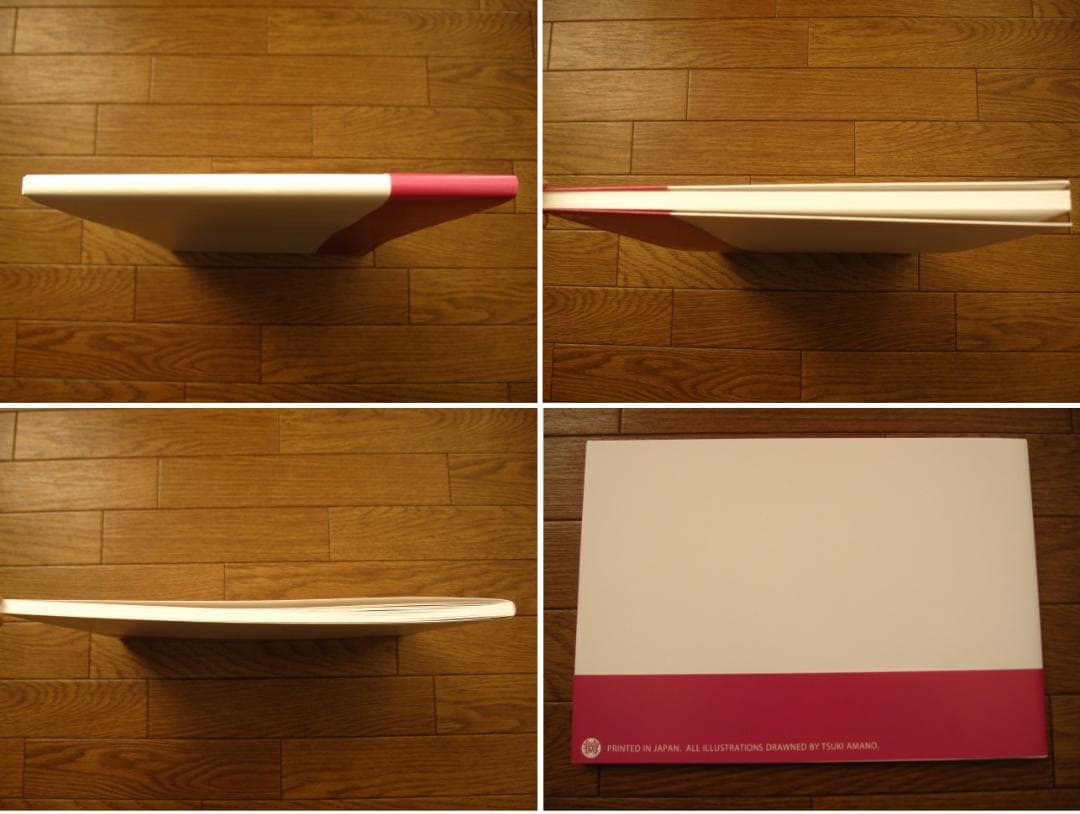 天野ガシュー　天野月　直筆サイン入り　帯付き