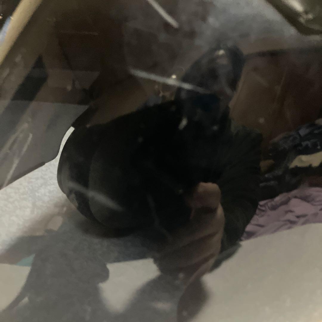 ひ*ち様 Arai SZ-Fジェットヘルメット