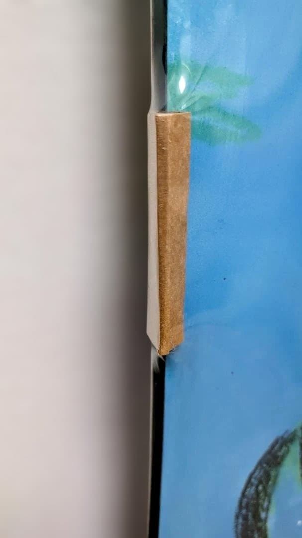 新品未使用★Burton ブロッサム キャンバー スノーボード　152ｃｍ