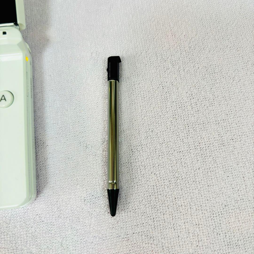 専用ページ！任天堂3DS＋ポケットモンスター アルファサファイア、オメガルビー