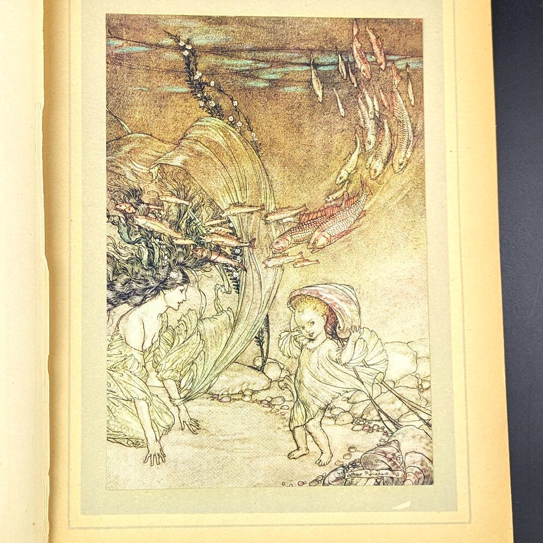 希少な初版 アーサー・ラッカム挿画本『ウンディーネ』1909年 全図15枚揃い