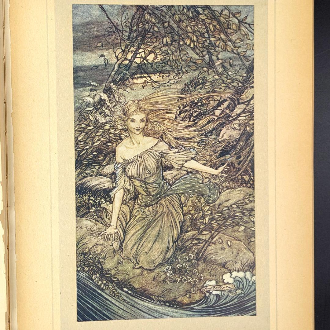 希少な初版 アーサー・ラッカム挿画本『ウンディーネ』1909年 全図15枚揃い