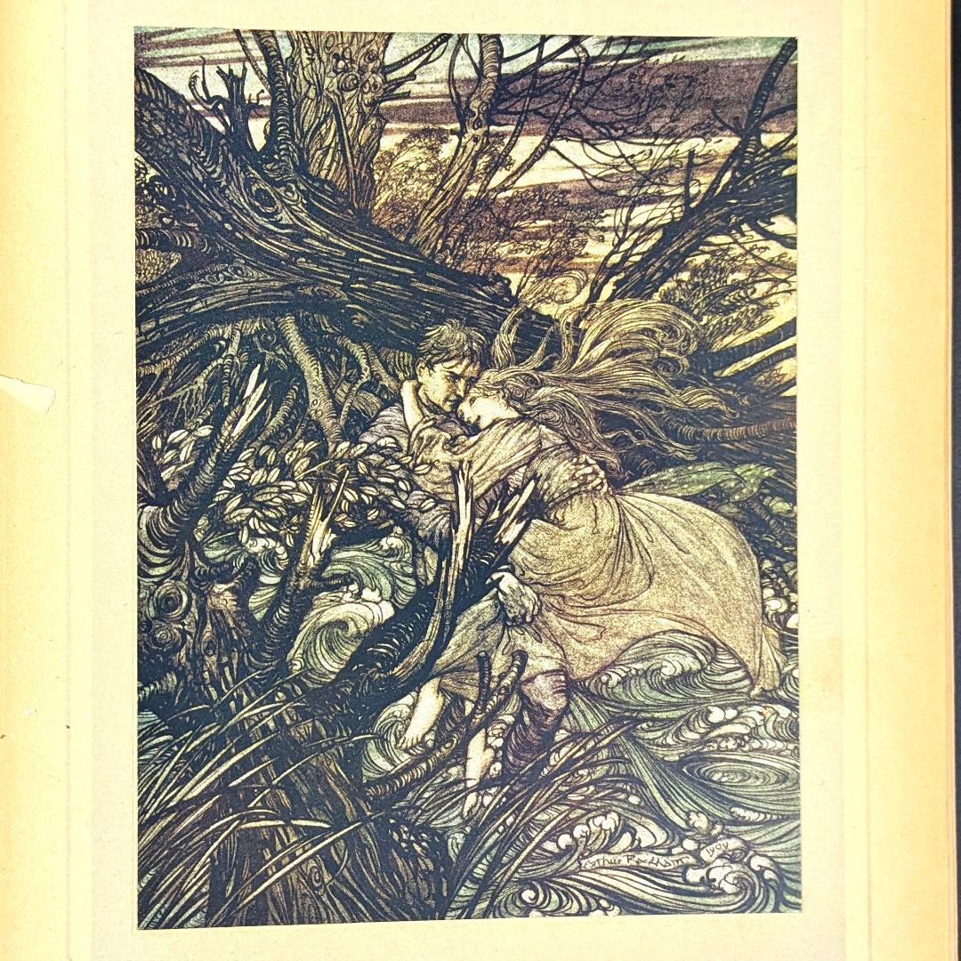 希少な初版 アーサー・ラッカム挿画本『ウンディーネ』1909年 全図15枚揃い